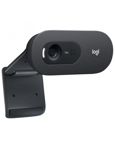 Logitech Webcam c505E 1280*720 Negro