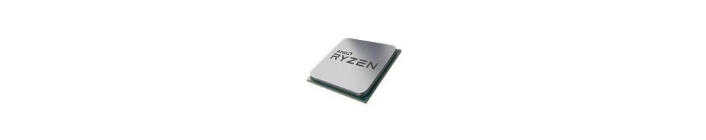 Micros AMD AM4